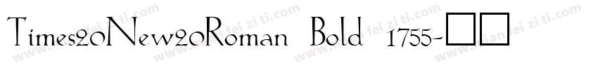 Times20New20Roman Bold 1755字体转换